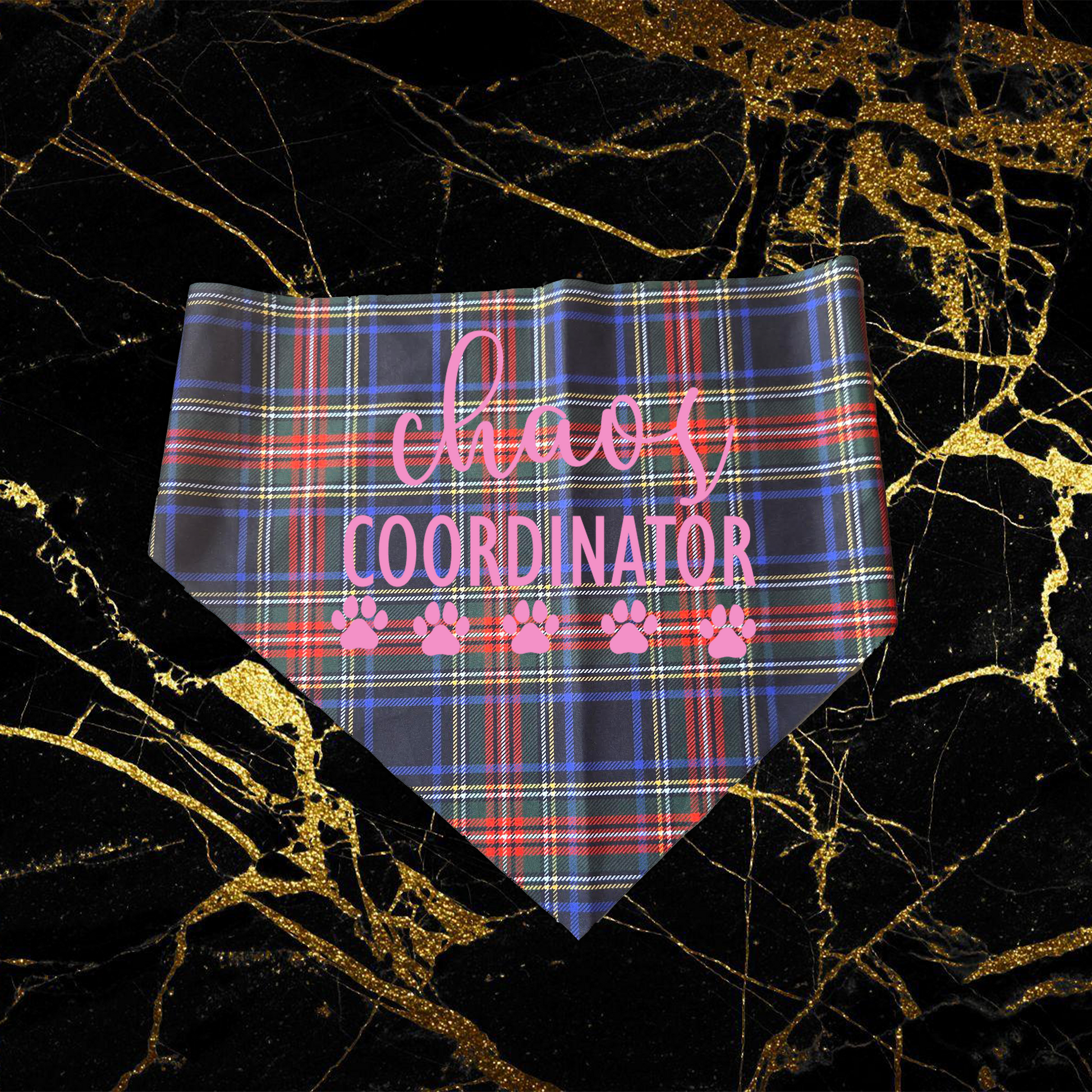 Chaos Coordinator_Pink