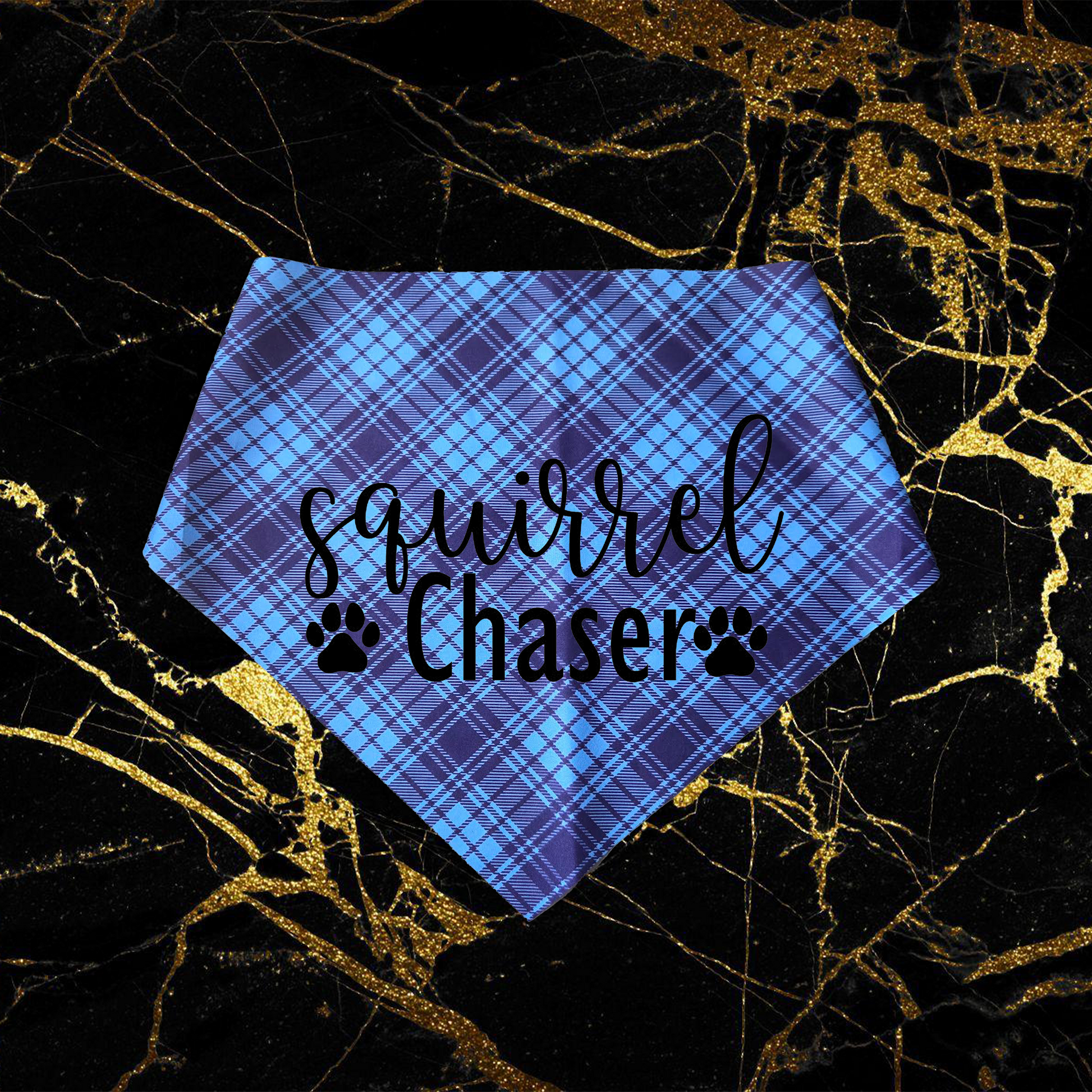 Squirrel Chaser_Black