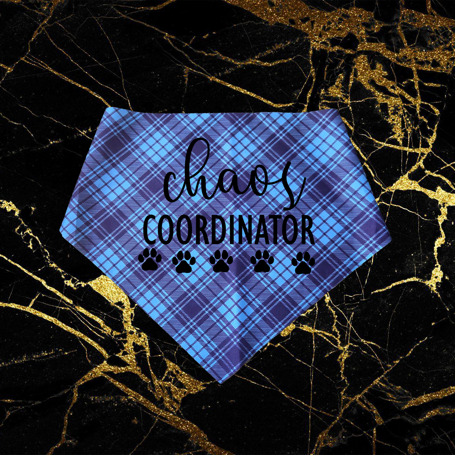 Chaos Coordinator_Black