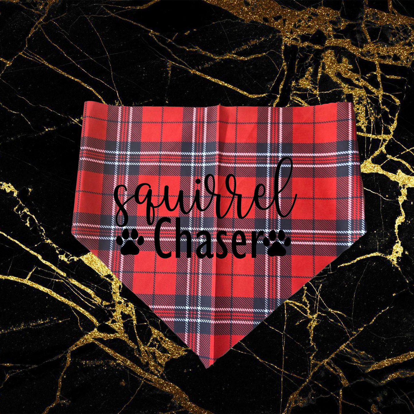 Squirrel Chaser_Black