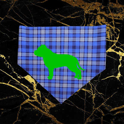 Bandana Style 17
