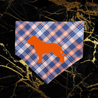 bully_orange