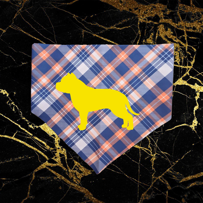 bully_yellow