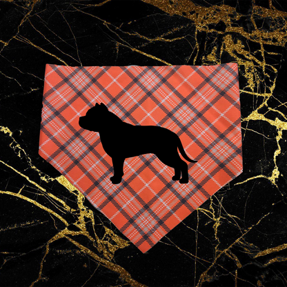 Bully_Black