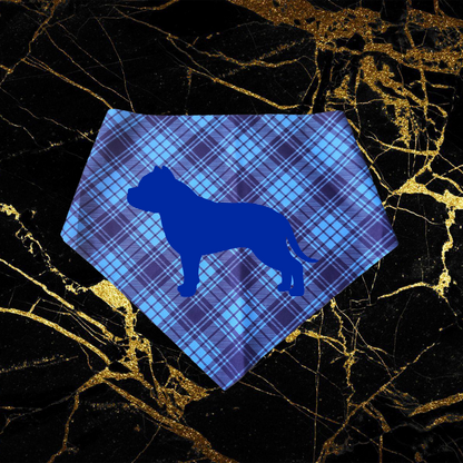 Bully_Blue