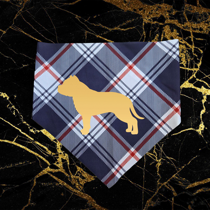Bully_Gold