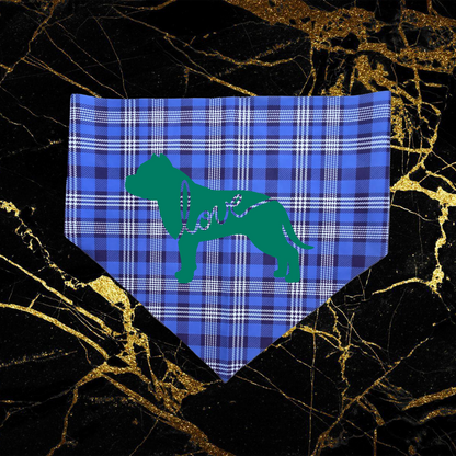 Bandana Style 17