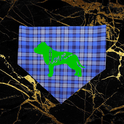 Bandana Style 17