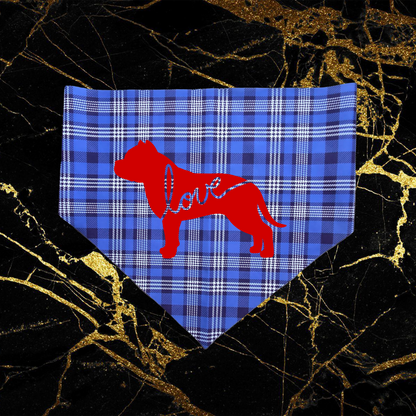 Bandana Style 17