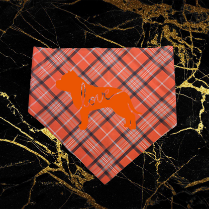 Bully Love_Orange