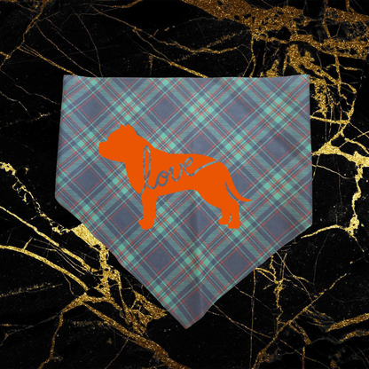 Bully Love_Orange