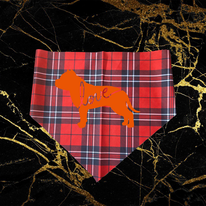 Bully Love_Orange