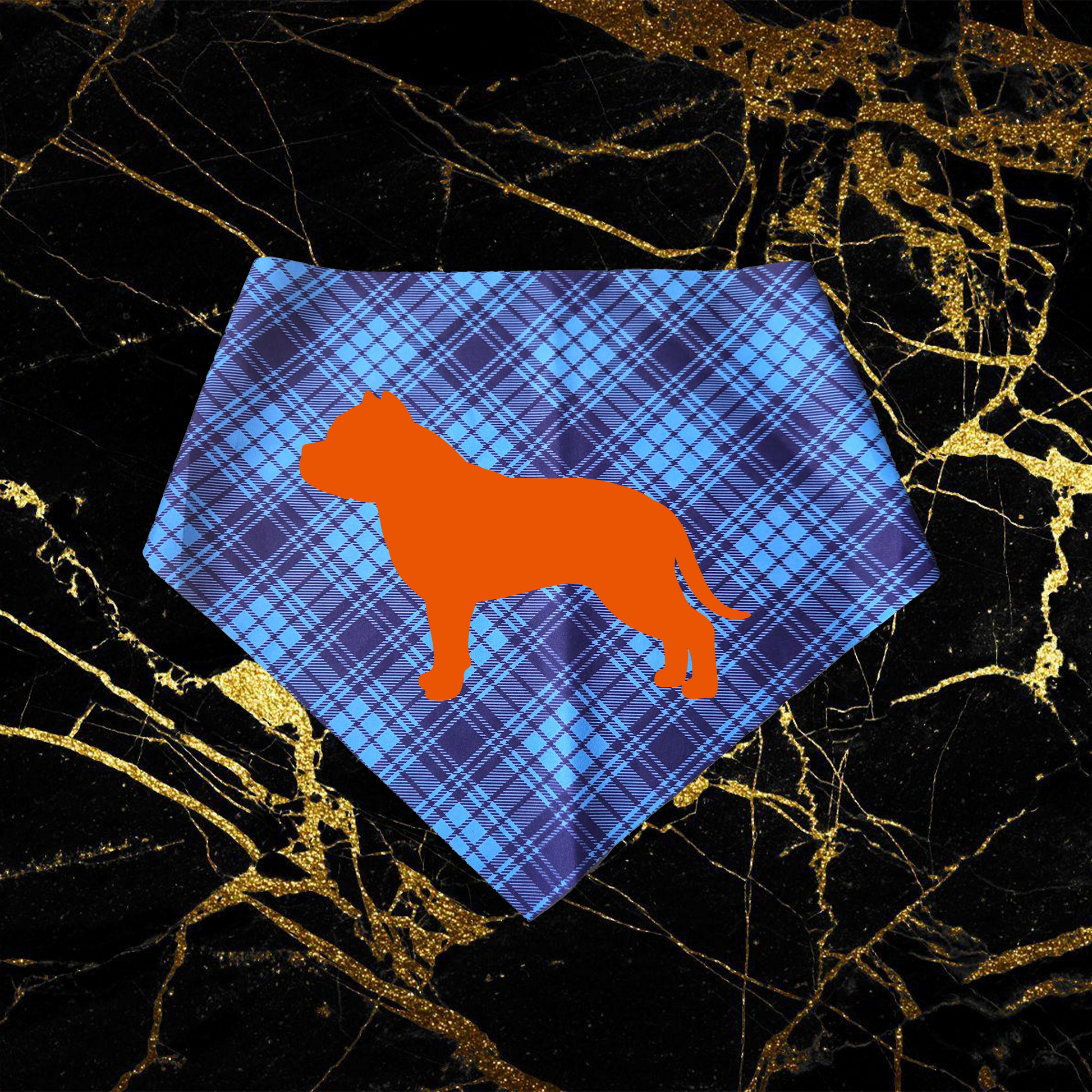 Bully_Orange