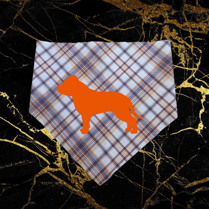 Bully_Orange