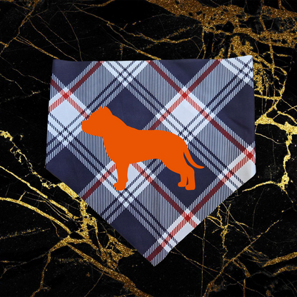 Bully_Orange