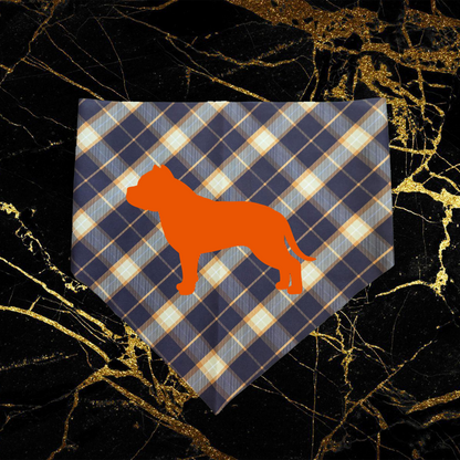 Bandana Style 14