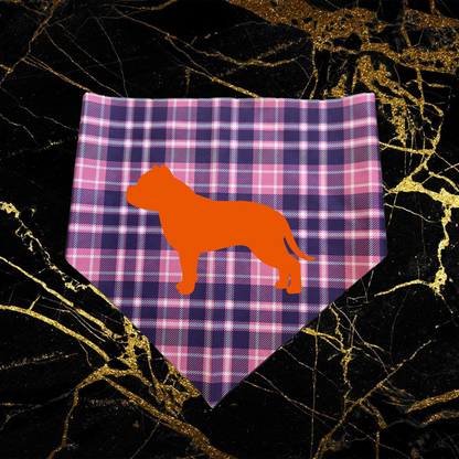 Bully_Orange