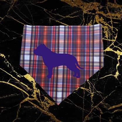 Bully_Purple