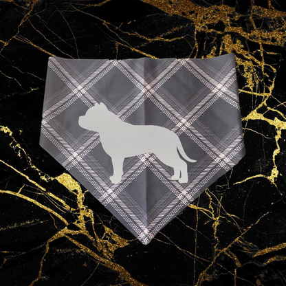 Bully_Silver