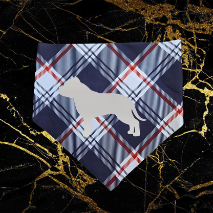Bully_Silver