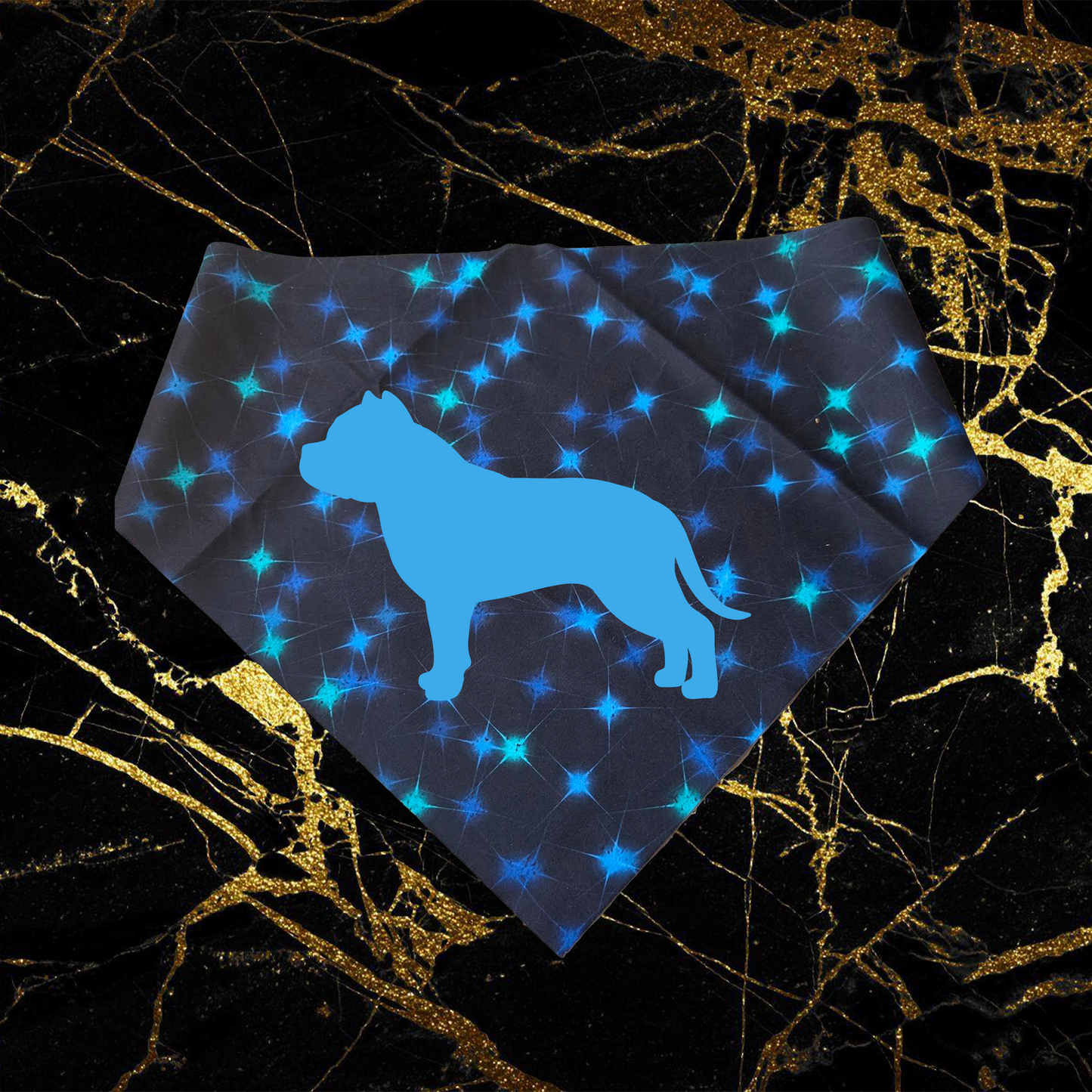 Bully_Sky Blue