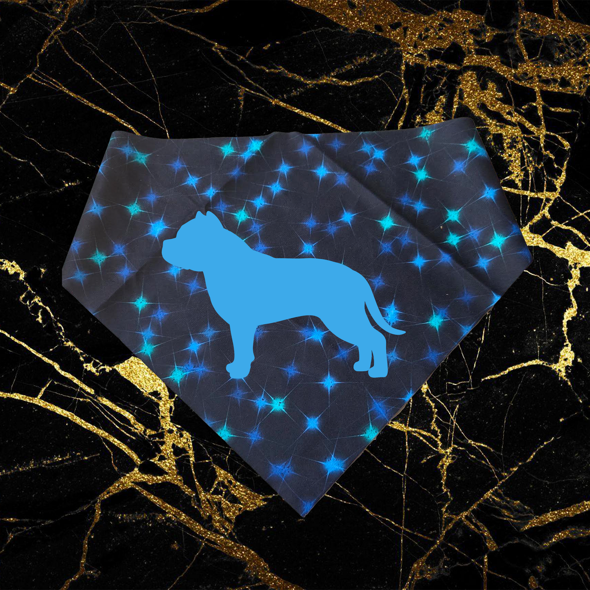 Bully_Sky Blue