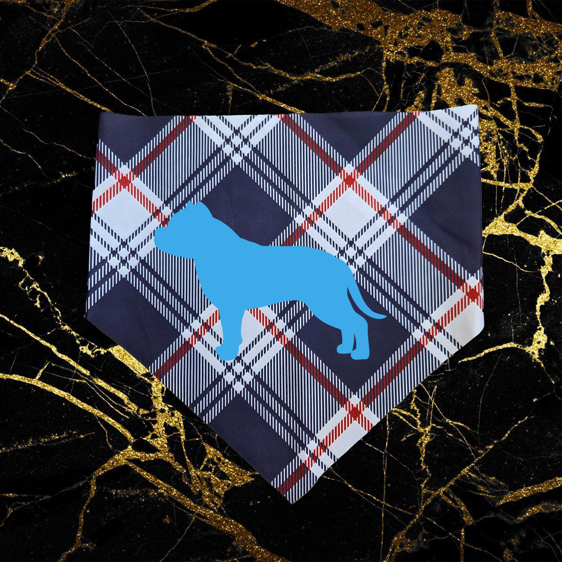 Bully_Sky Blue