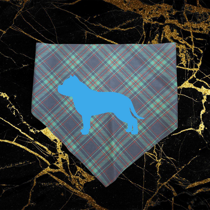 Bully_Sky Blue