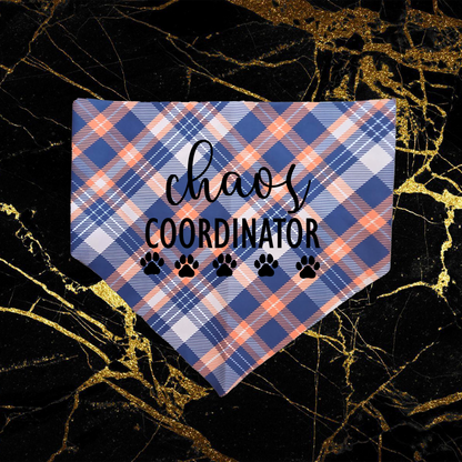 chaos coordinator_black