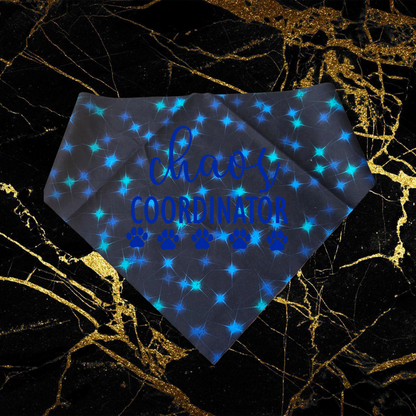 Chaos Coordinator_Blue
