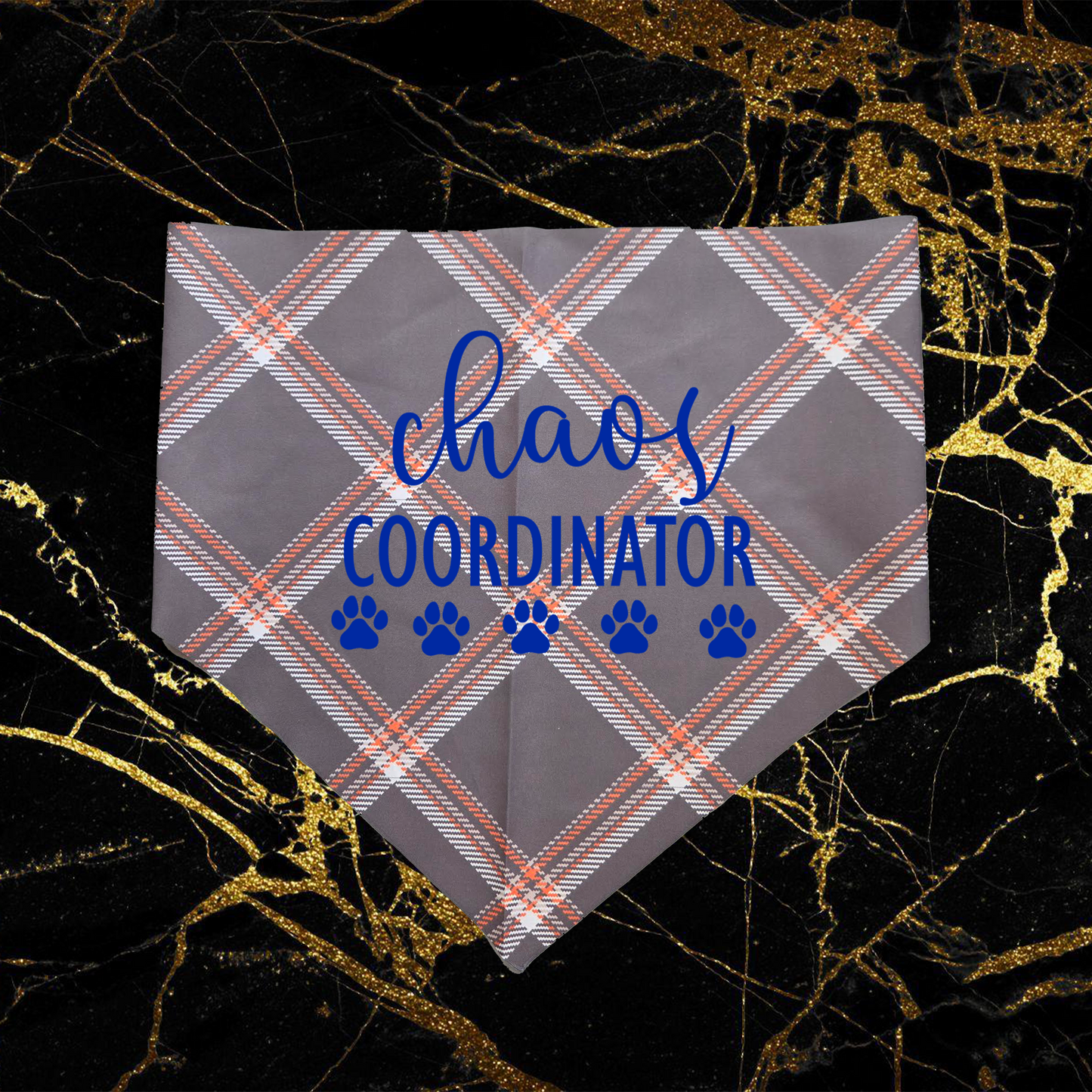 Chaos Coordinator_Blue