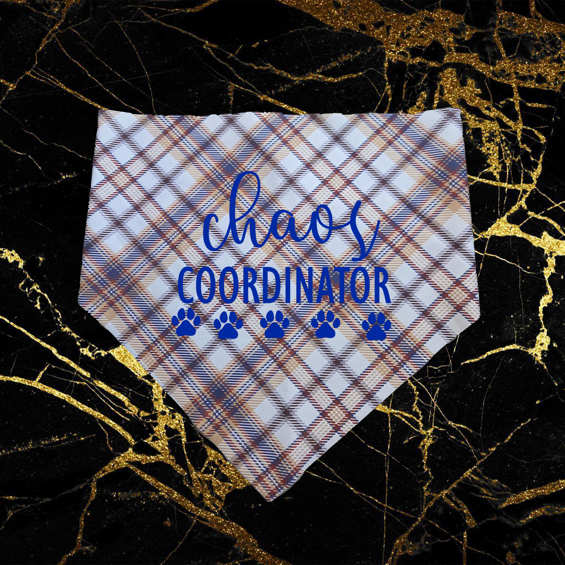 Chaos Coordinator_Blue