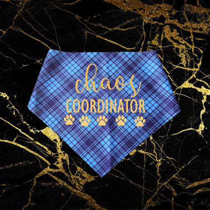Chaos Coordinator_Gold