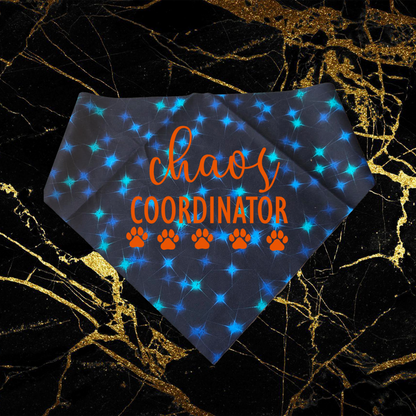 Chaos Coordinator_Orange