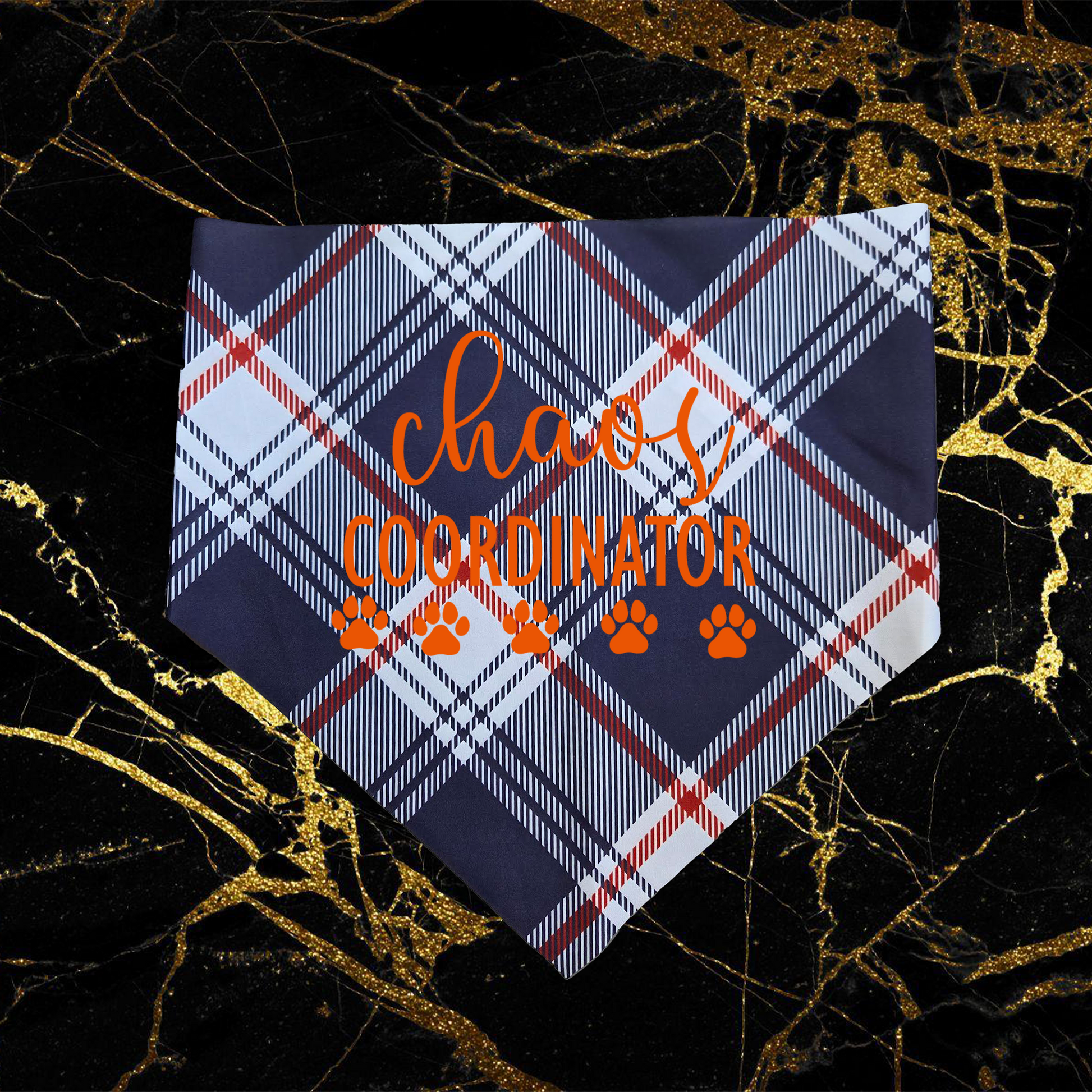 Chaos Coordinator_Orange