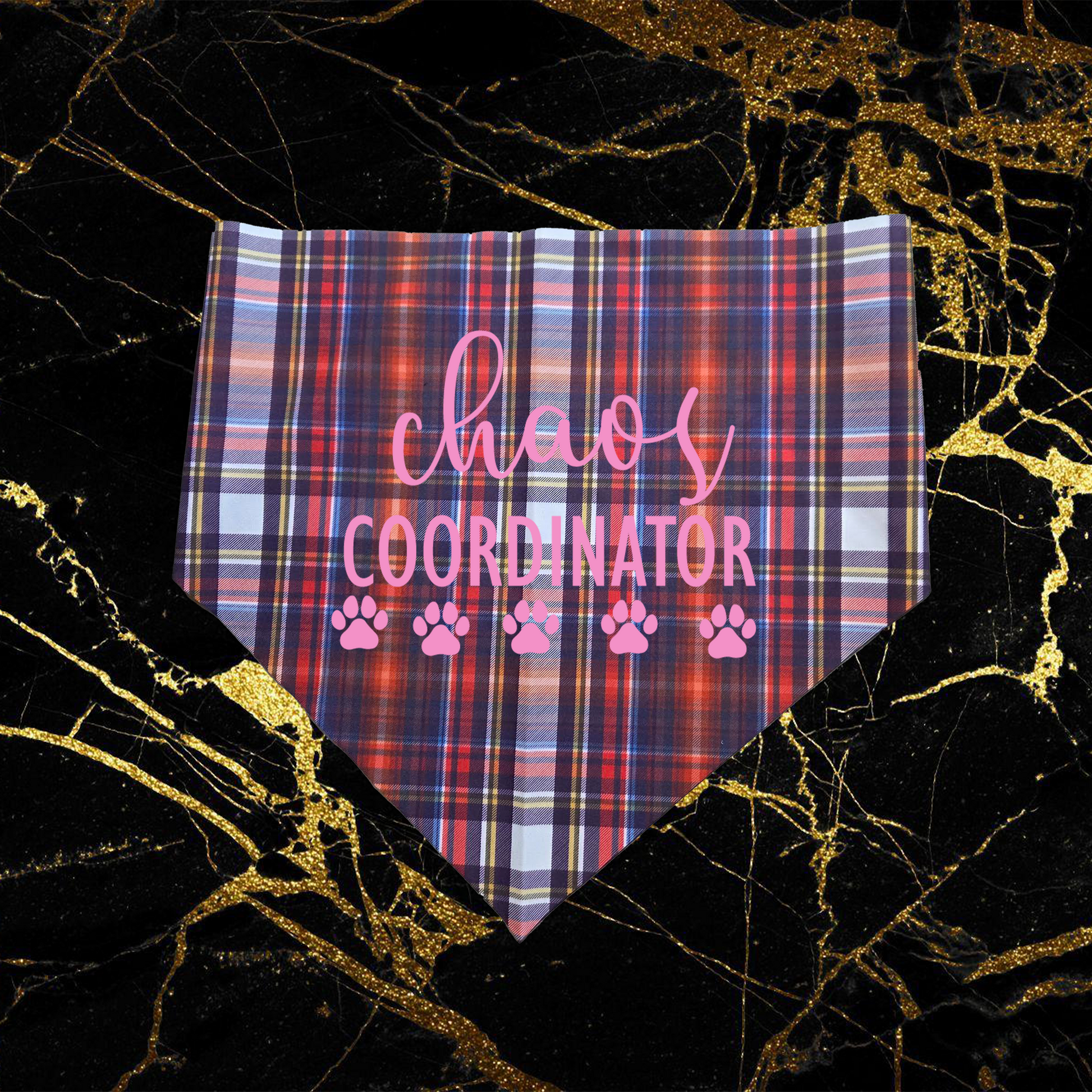 Chaos Coordinator_Pink