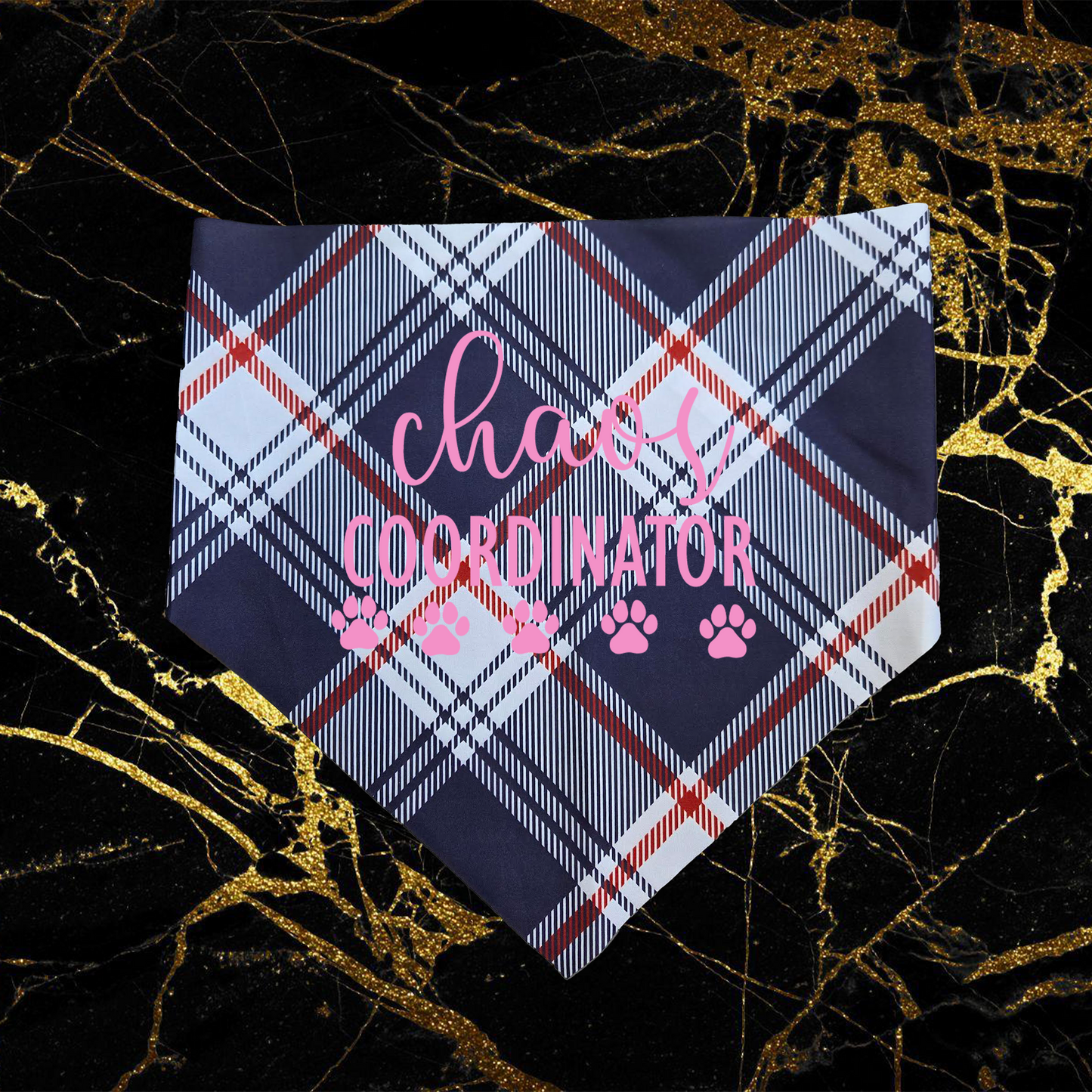 Chaos Coordinator_Pink