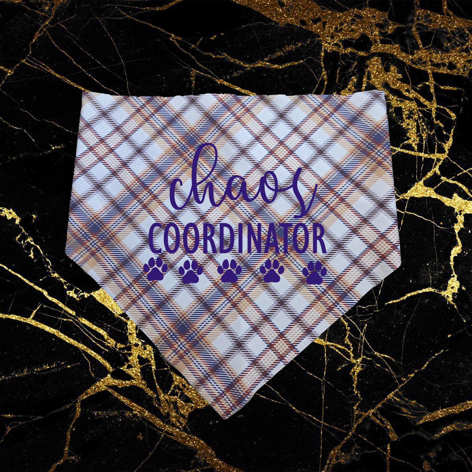 Chaos Coordinator_Purple