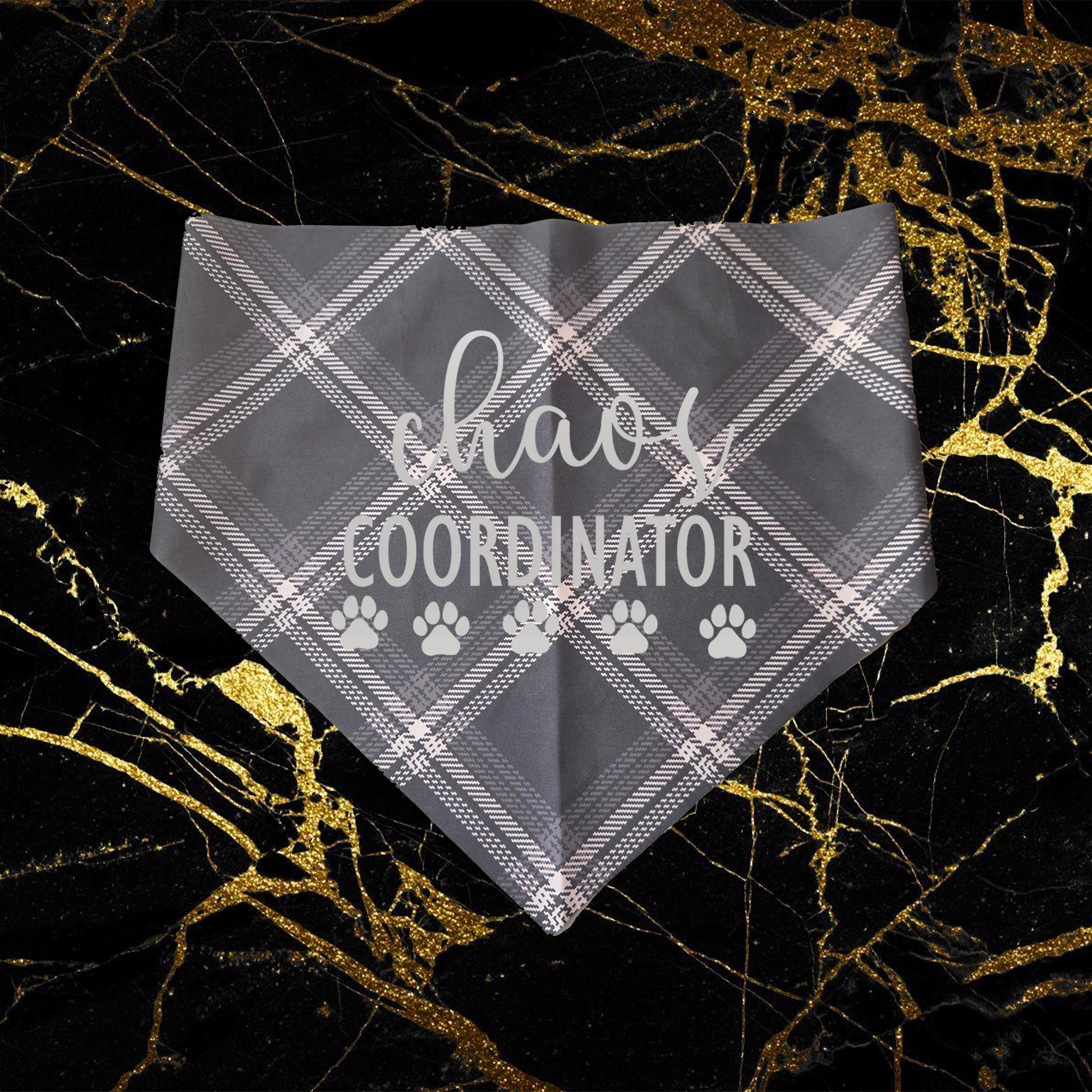 Chaos Coordinator_Silver