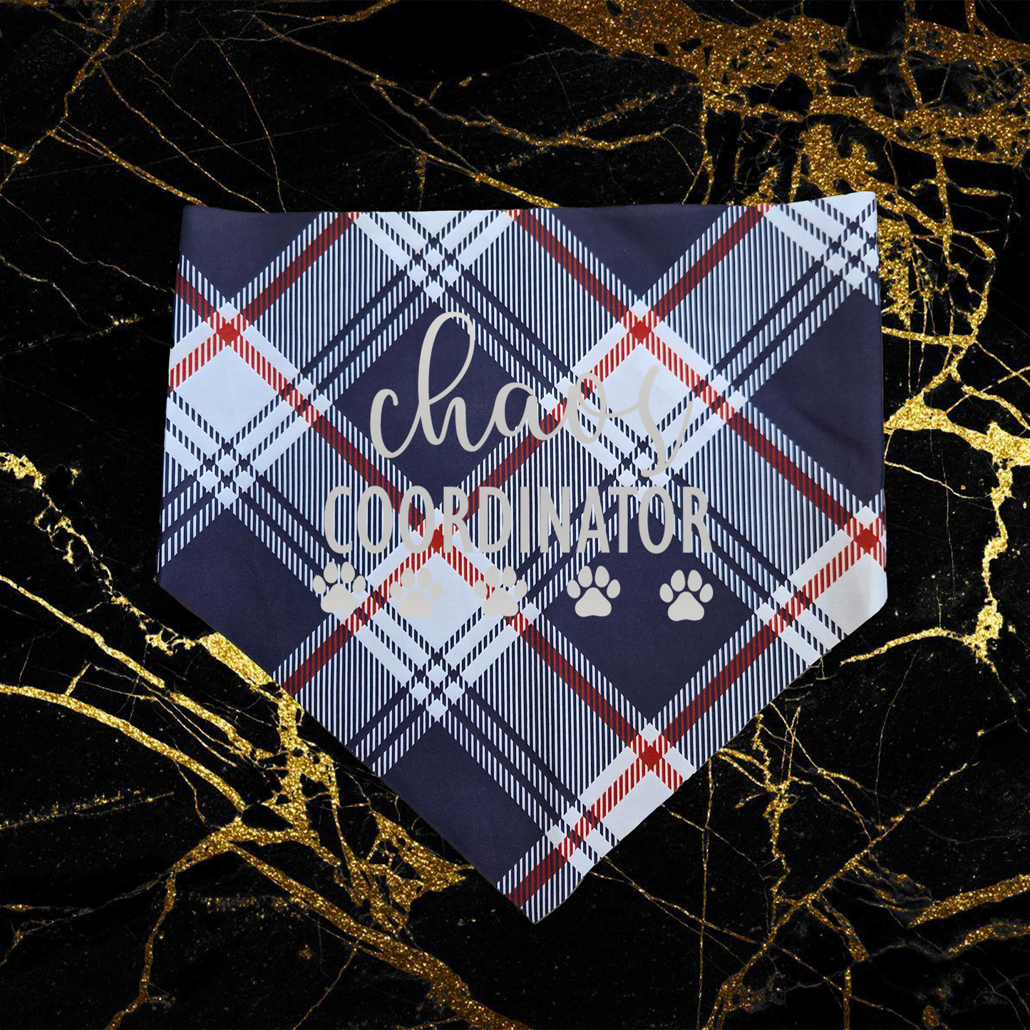 Chaos Coordinator_Silver