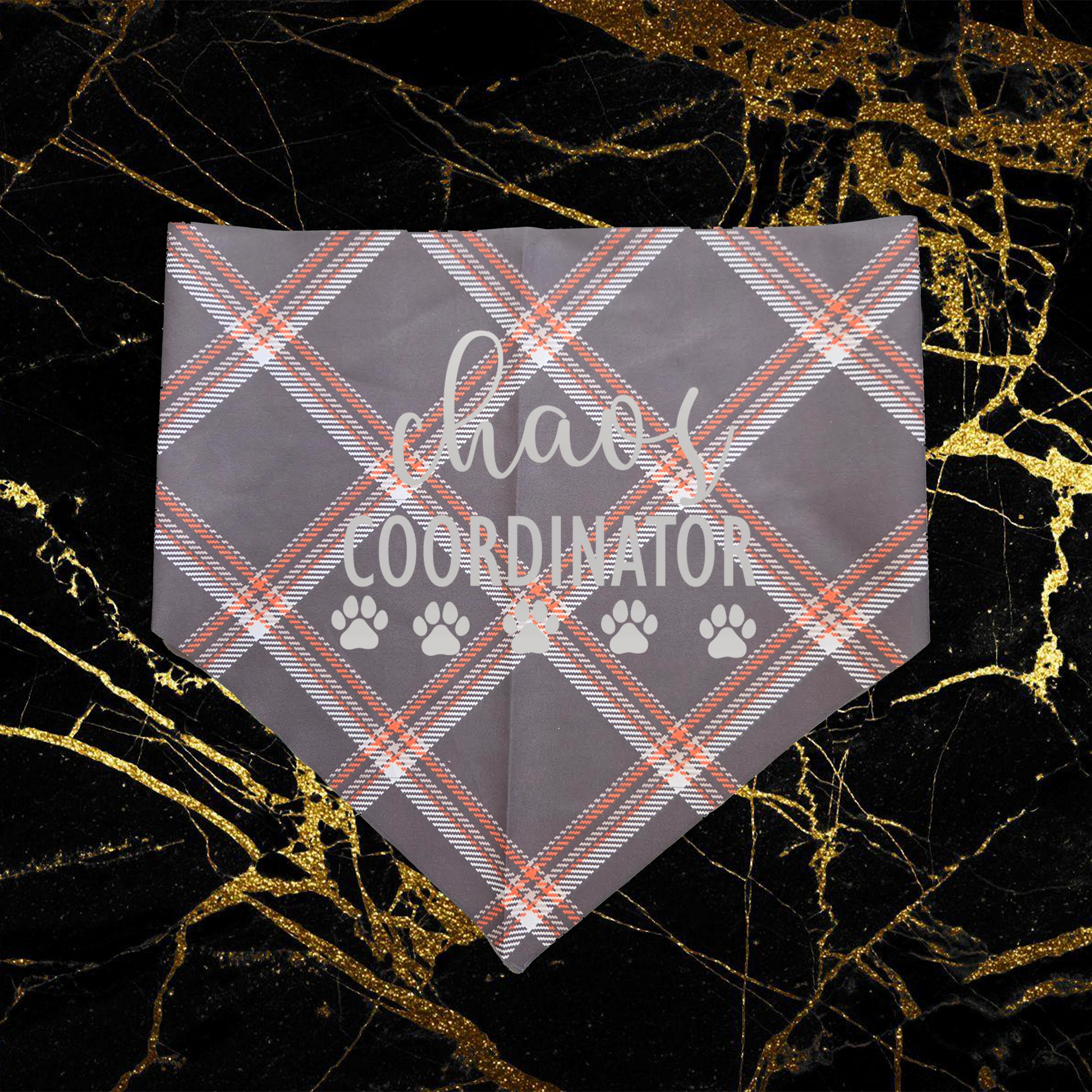 Chaos Coordinator_Silver