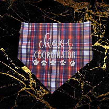 Chaos Coordinator_Silver