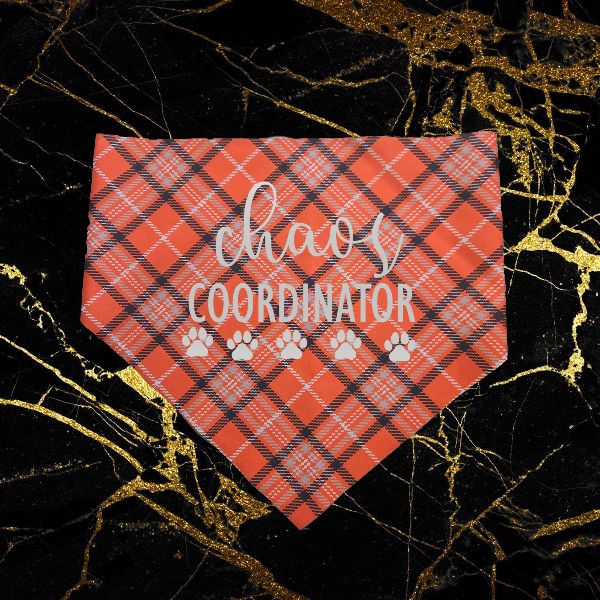 Chaos Coordinator_Silver