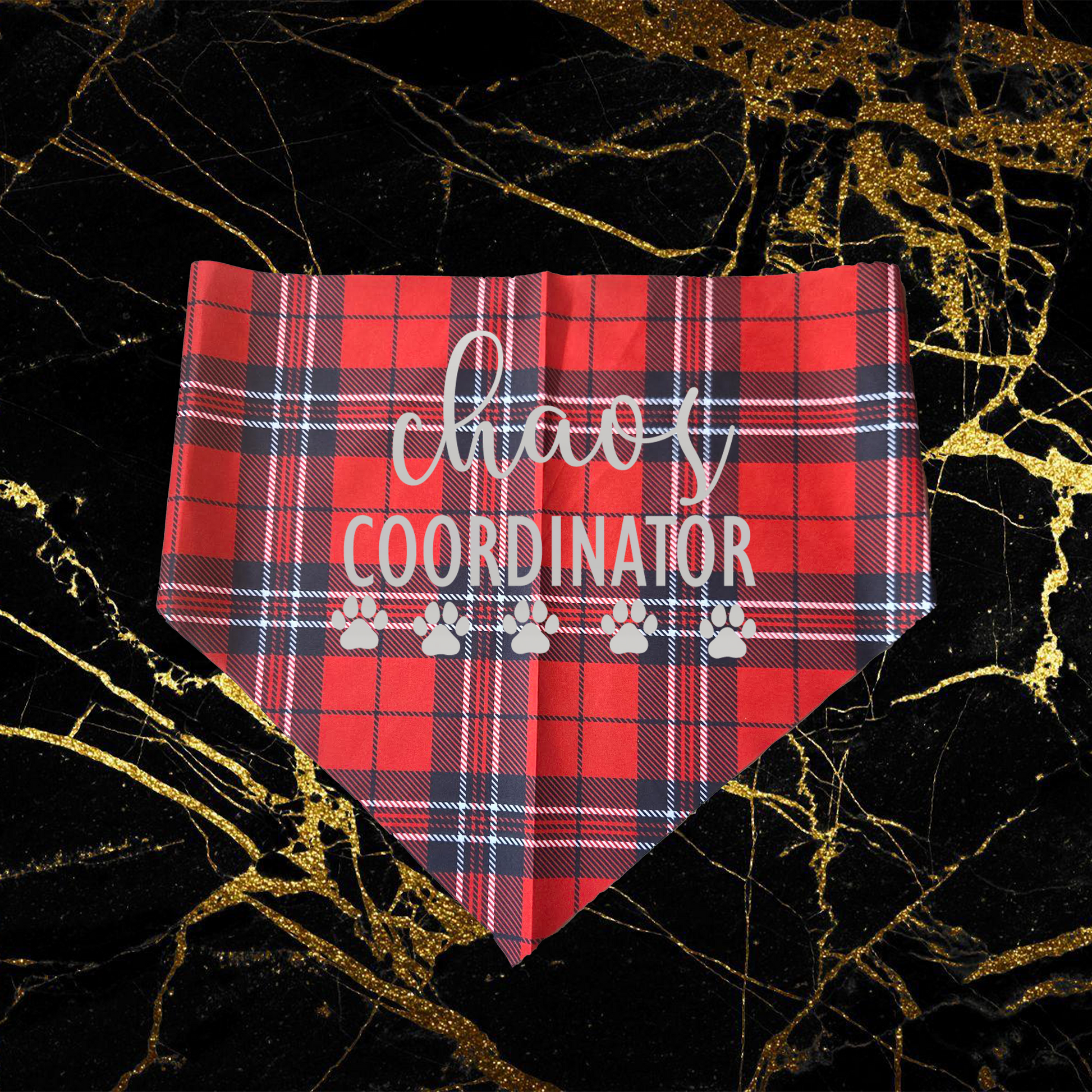 Chaos Coordinator_Silver