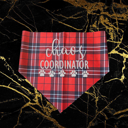 Chaos Coordinator_Silver