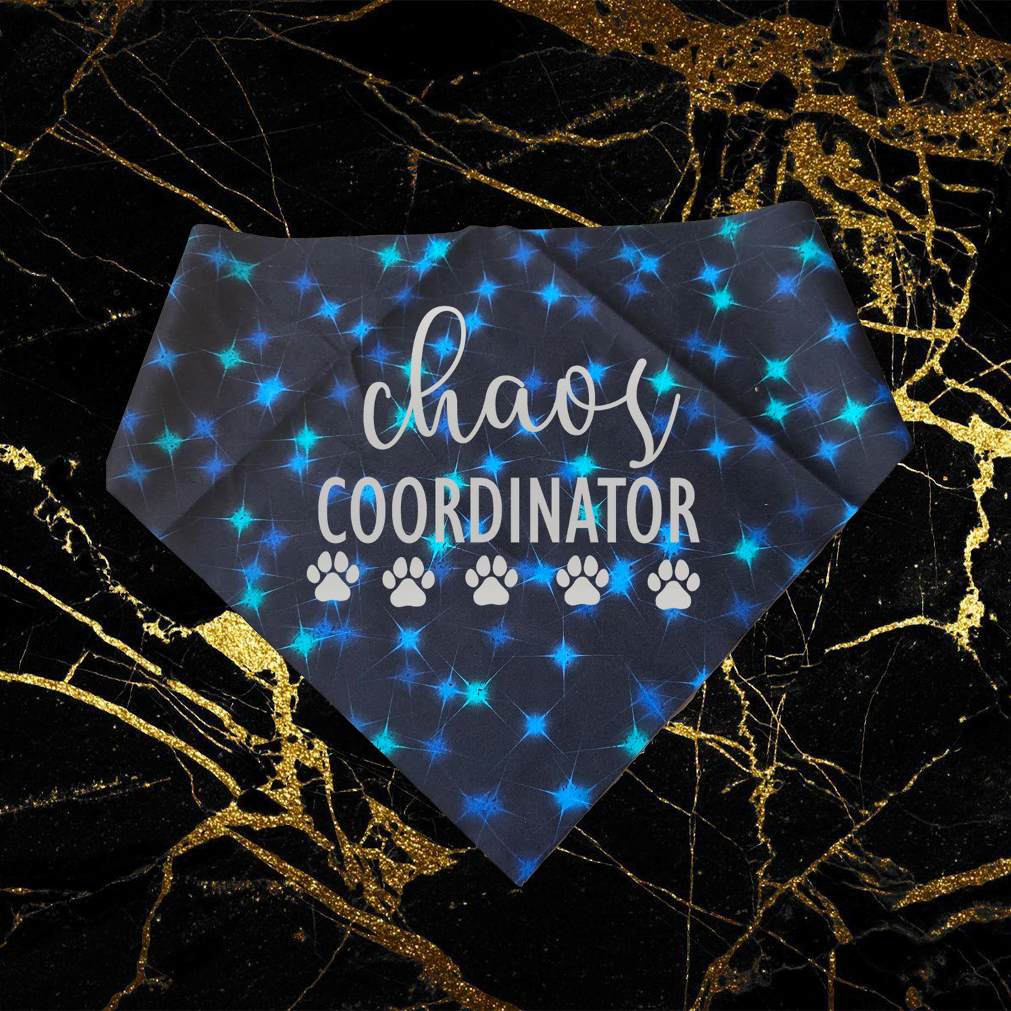 Chaos Coordinator_Silver
