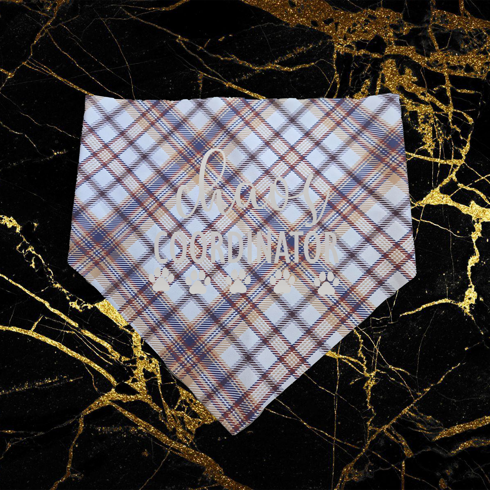 Chaos Coordinator_Silver