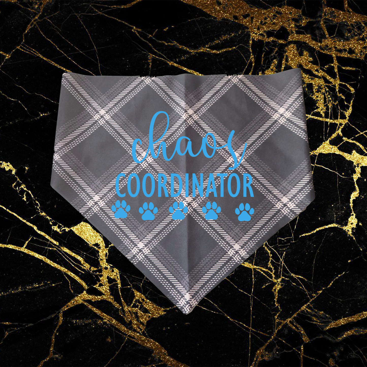 Chaos Coordinator_Sky Blue