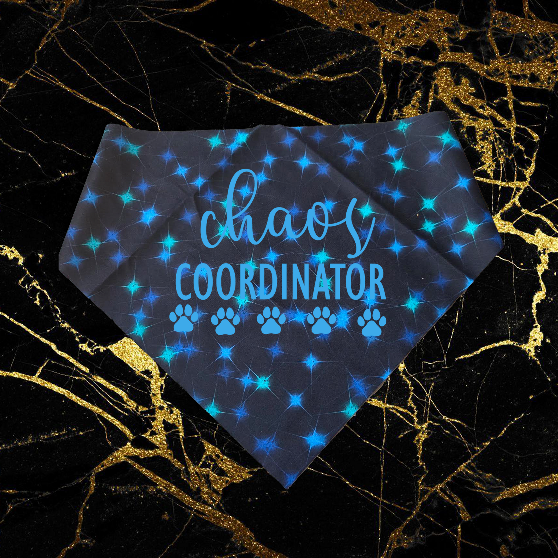 Chaos Coordinator_Sky Blue