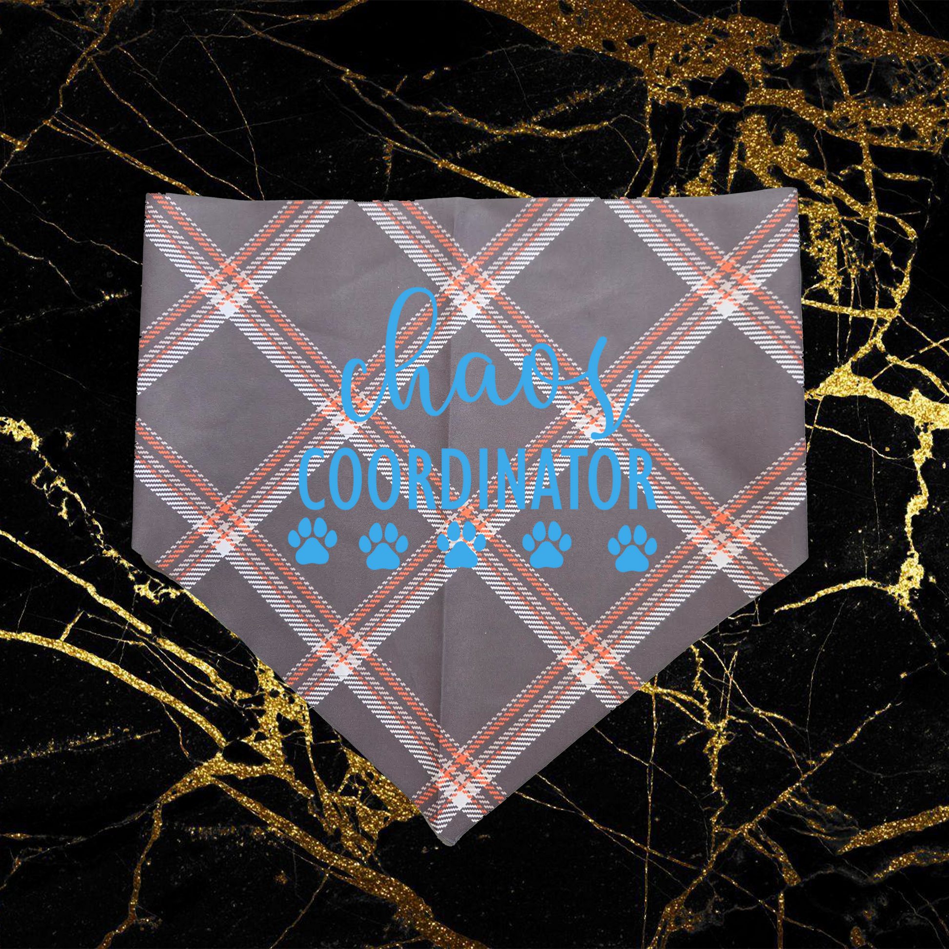 Chaos Coordinator_Sky Blue